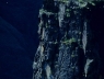 584108.jpg