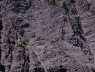 584165.jpg