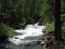 downstream.jpg