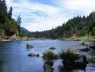 dscf0100_1.jpg
