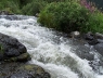 random-035_1.jpg