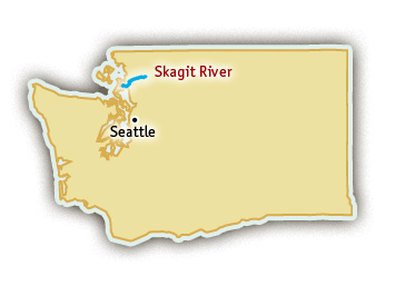 Skagit River Whitewater Rafting Trips in Washington