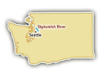 Skykomish River Rafting Trips in Washington State